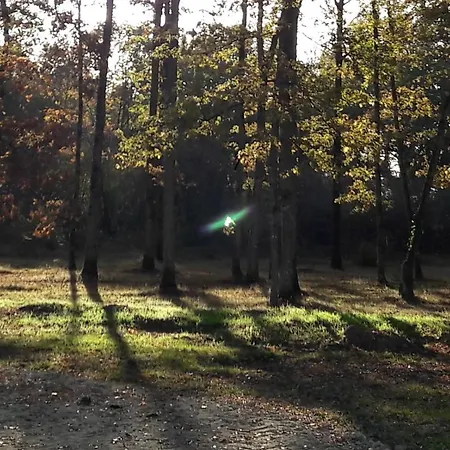 Lodge Colibri Loc Brigne
