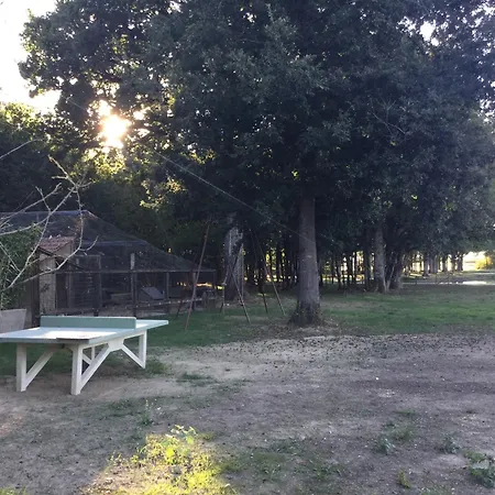 Lodge Colibri Loc - Insolite - 3 Etoiles - Parc - Etang - Familles - Soiree Ok Brigne