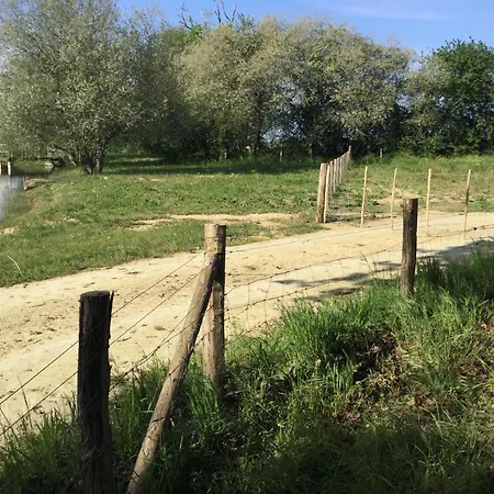 Colibri Loc - Insolite - 3 Etoiles - Parc - Etang - Familles - Soiree Ok Lodge