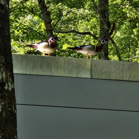 Colibri Loc - Insolite - 3 Etoiles - Parc - Etang - Familles - Soiree Ok *