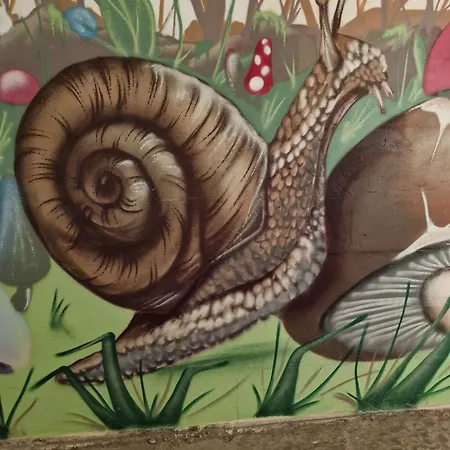 Colibri Loc - Insolite - 3 Etoiles - Parc - Etang - Familles - Soiree Ok Brigne