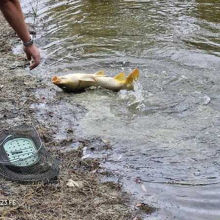 Colibri Loc - Insolite - 3 Etoiles - Parc - Etang - Familles - Soiree Ok Brigne