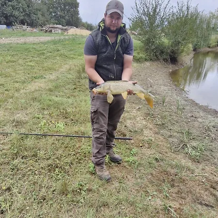 Colibri Loc - Insolite - 3 Etoiles - Parc - Etang - Familles - Soiree Ok