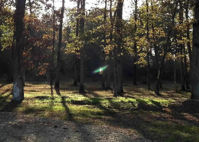 山林小屋 Colibri Loc Brigne