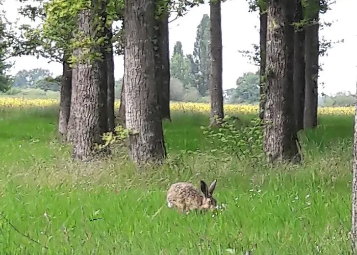 山林小屋 Colibri Loc *