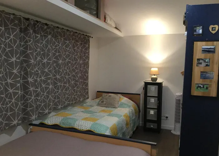 Colibri Loc * Brigne