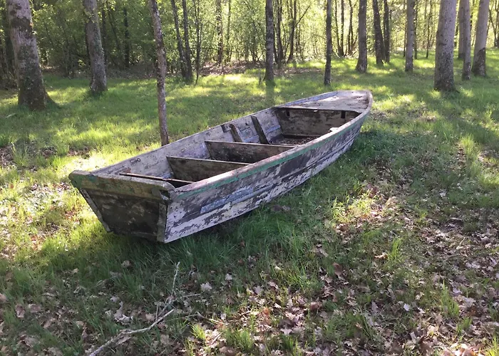 Colibri Loc 山林小屋 *